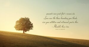 Inspiring Humble Quotes to Keep You Grounded and Grateful