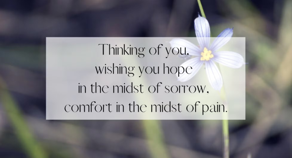 Comforting Monthly Wishes for Grief and Loss Restoration