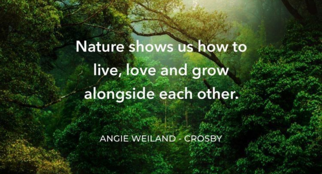 Cute Quotes for Nature Love 💚