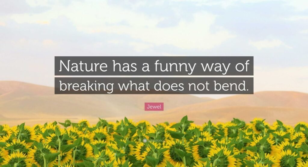 😂 Funny Quotes for Nature Love