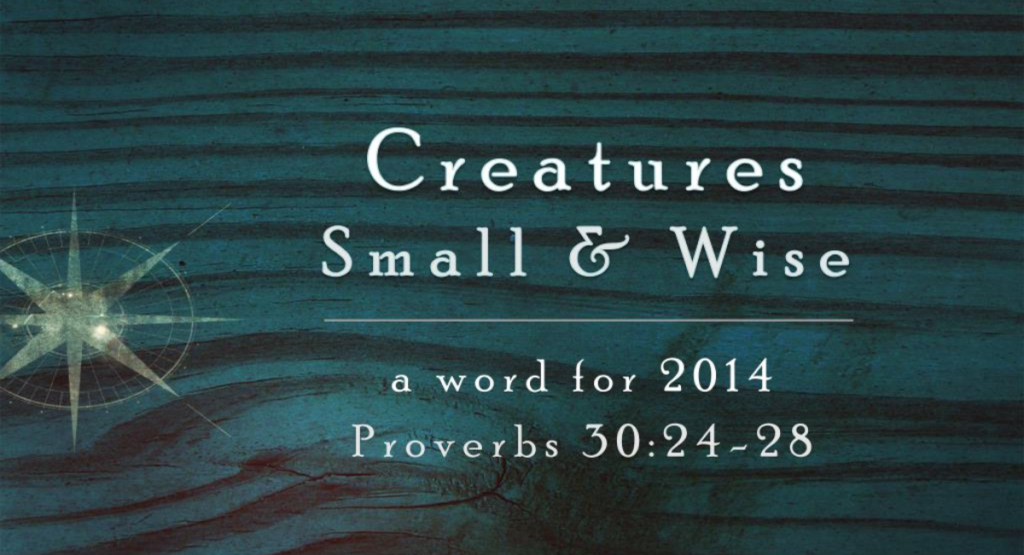 Learning from the Four Small but Wise Creatures of Proverbs