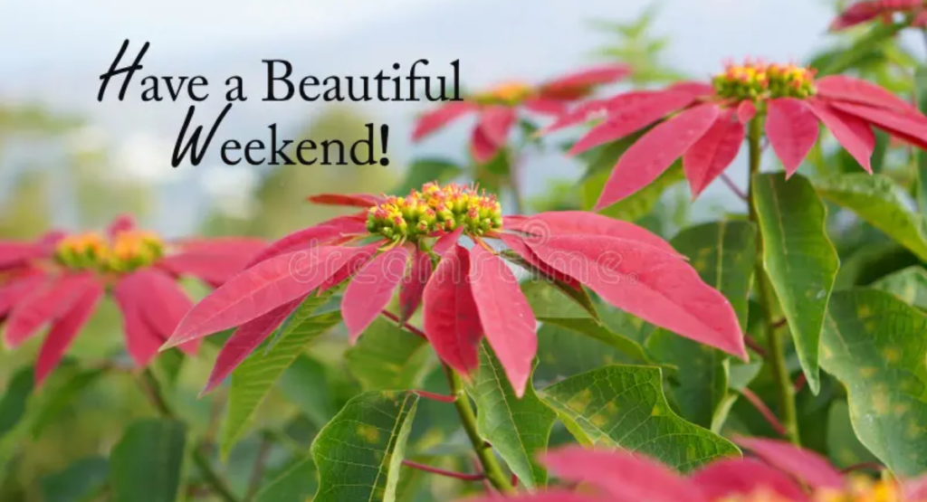 Looking Forward to a Beautiful Weekend Ahead