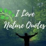 Quotes for Nature Love