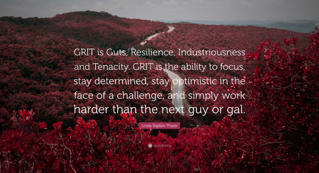 Resilience and Grit in the Face of Competition