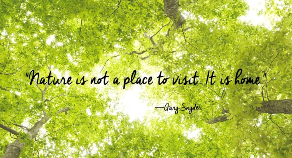 🌄 Short Quotes for Nature Love ✨