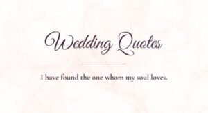 Wedding Season Quotes