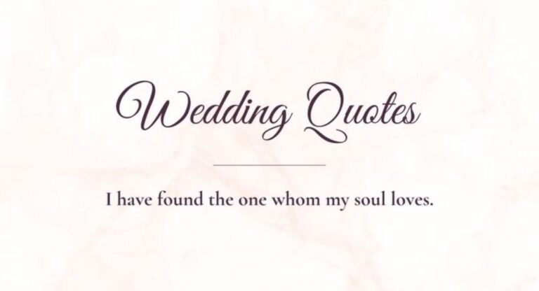 Wedding Season Quotes