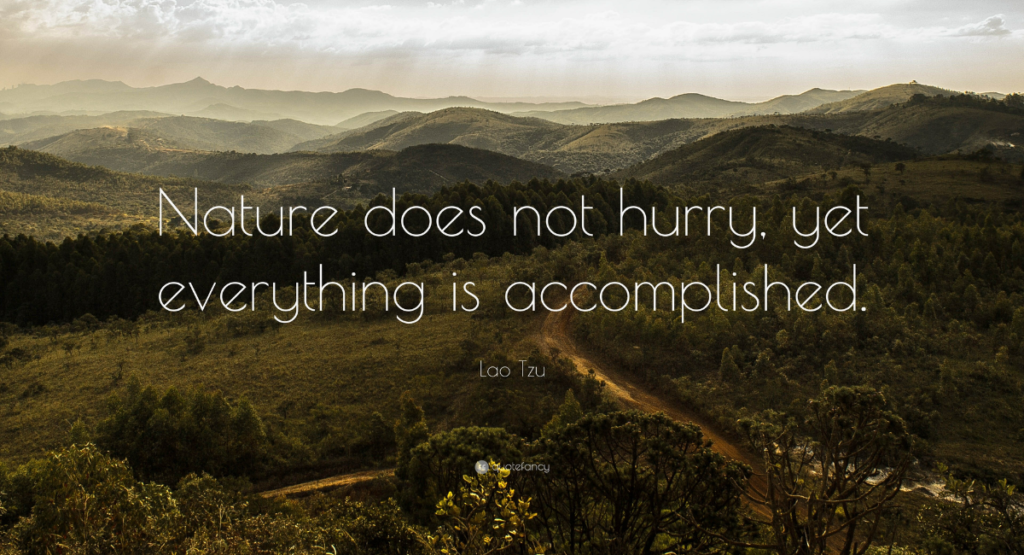 🌄 Inspirational Quotes for Nature Love ✨